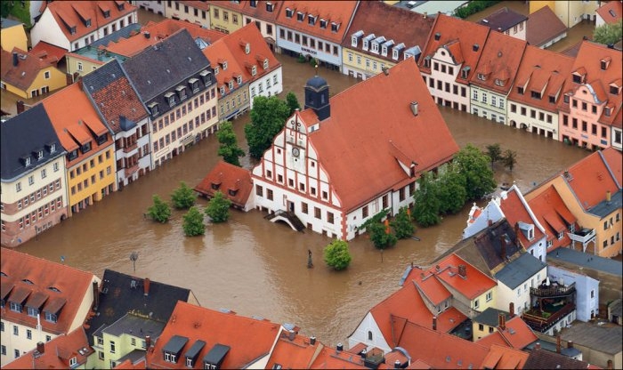 Подводная красота Европы: захватывающие фотографии (35 изображений)