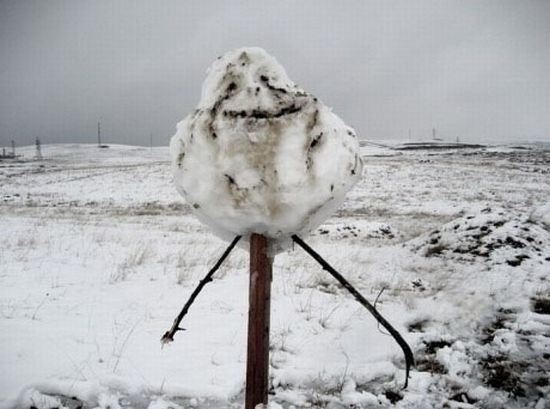 Пятничная подборка фотографий (104 шт.)