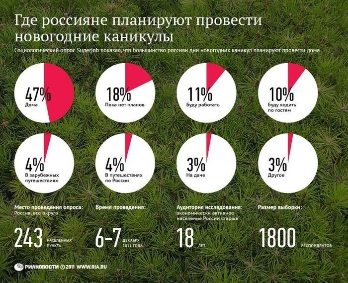 18 фотоинфографий, чтобы встретить Новый Год: идеи и вдохновение