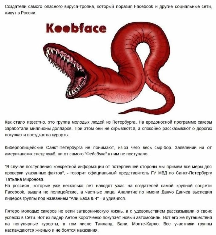 Российские хакеры разработали вирус Koobface (6 изображений)