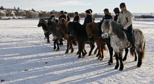 Состязались на фото: конкурсные моменты (5 снимков)