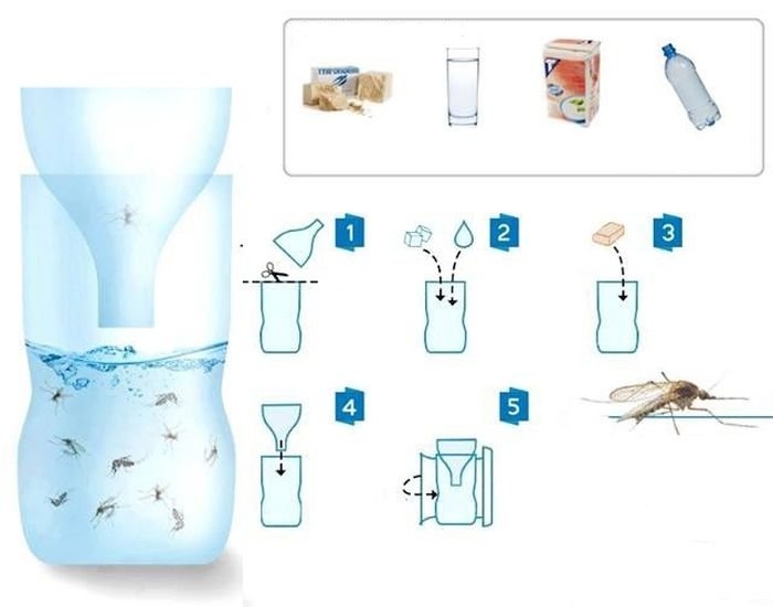 Изобретательная ловушка против комаров: новый способ защиты от назойливых насекомых (2 фотографии)