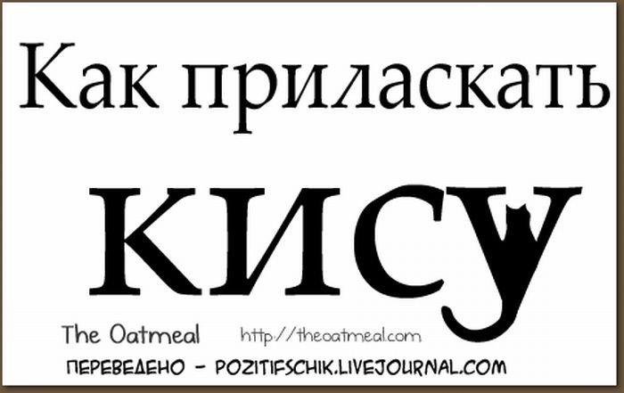 Как доставить удовольствие своей кошке: секреты ласковых прикосновений (6 фотографий)