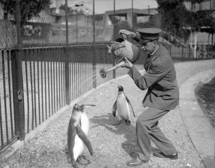 Необычные снимки из далекого прошлого: 30 удивительных фотографий