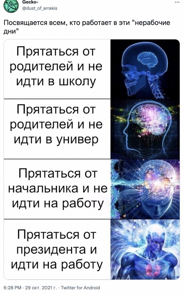 12 фото, доказывающих, что нерабочая рабочая неделя - это идеальное время для ленивого отдыха