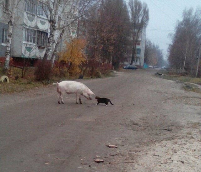 Увлекательное путешествие по российской природе: захватывающие фотографии (34 уникальных снимка)