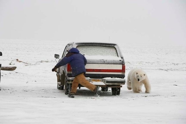 За кем скрывается журналист? (6 фотографий)