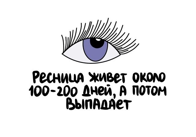 15 удивительных фактов о различных темах (фото)