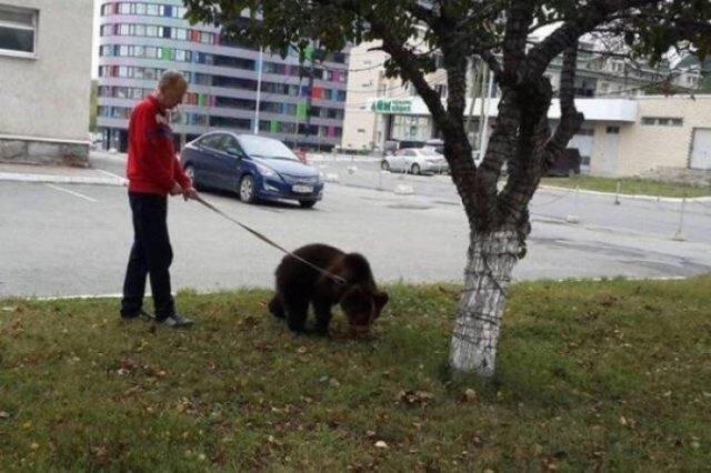 Увлекательные кадры с просторов России (34 фотографии)